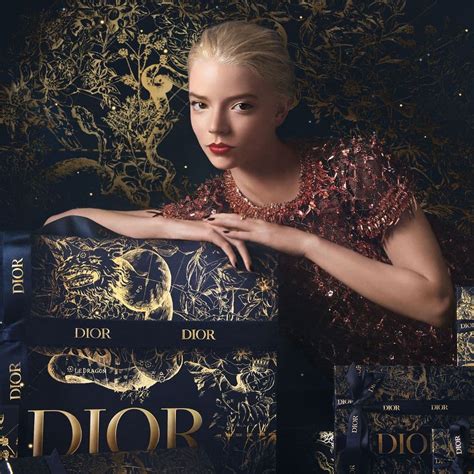 dior marketing|christian Dior marketing campaigns.